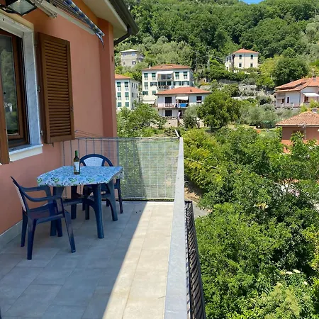 La Valle Degli Ulivi *